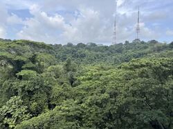 Meralodge (D23), Condominium #566147451
